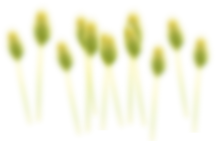 Slide thumbnail